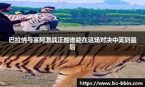 中国bbin宝盈集团有限公司